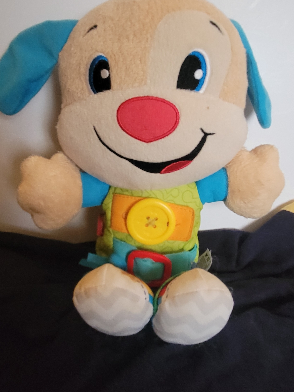 Fisher Price Laugh And Learn Puppy Sings And Talks